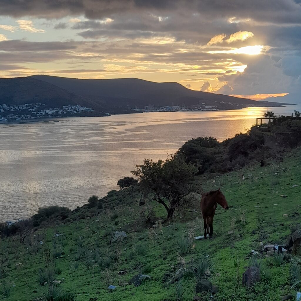Bodrum attractions