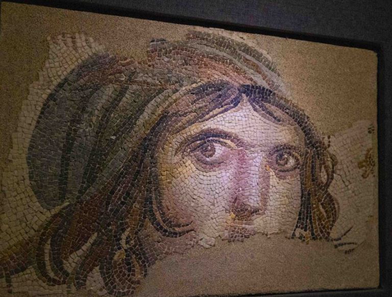 zeugma mosaic museum 5