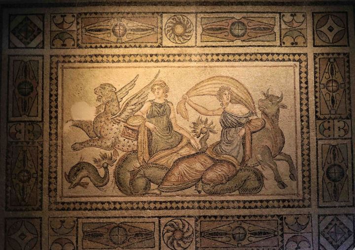 zeugma mosaic museum 8