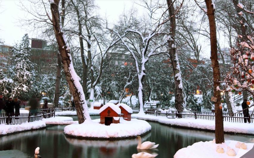 kugulu park 2