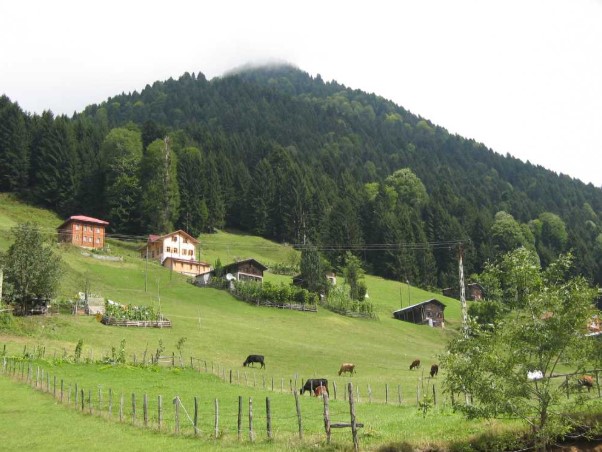 AYDER PLATEAU
