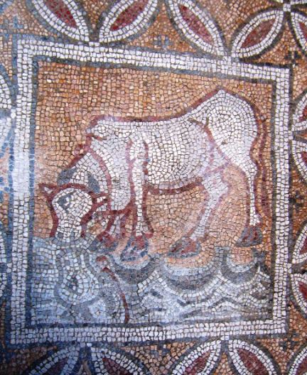Hadrianapolis Ancient City 9