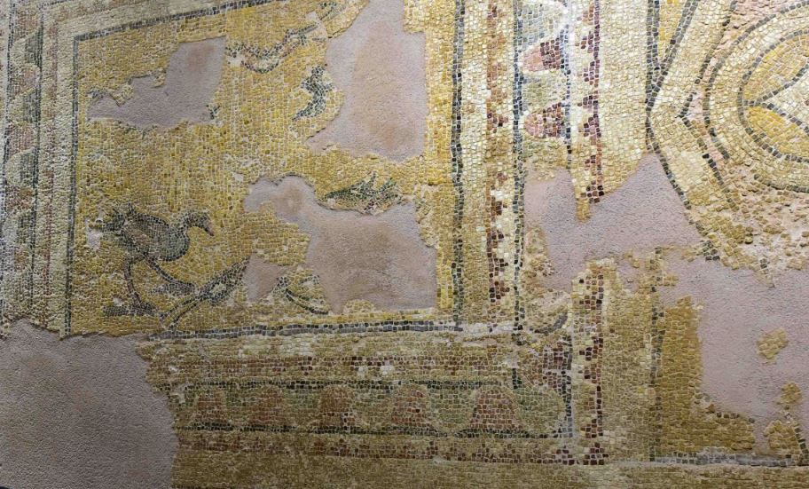 Hatay Archaeological Museum 1