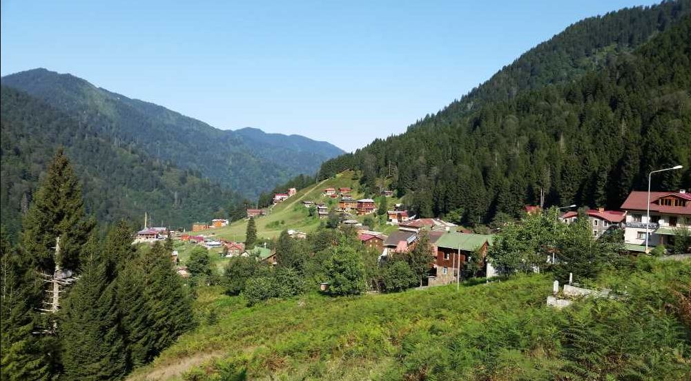 ayder yaylasi plateu 12365432