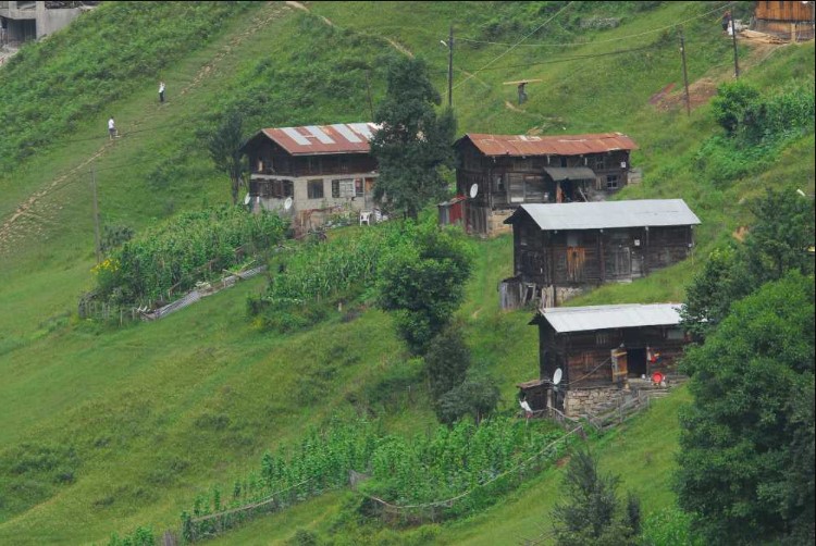 ayder yaylasi plateu 5
