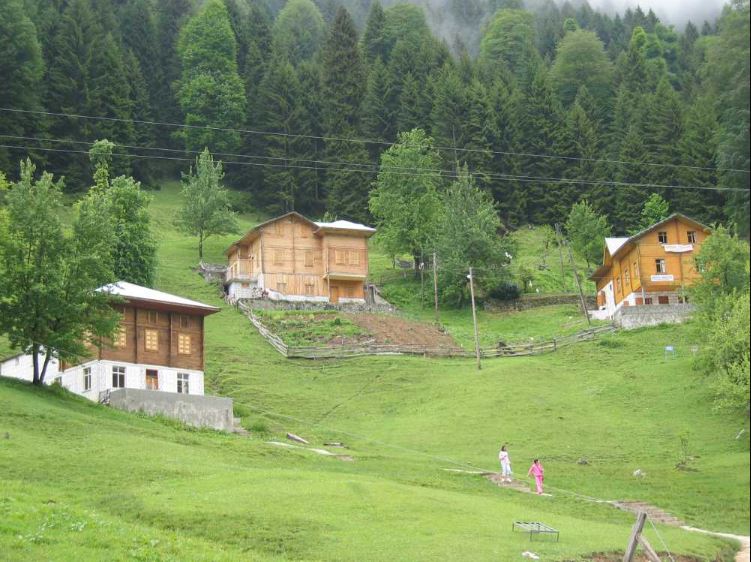 ayder yaylasi plateu 6