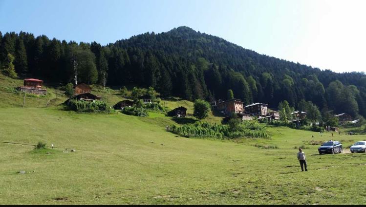ayder yaylasi plateu 7