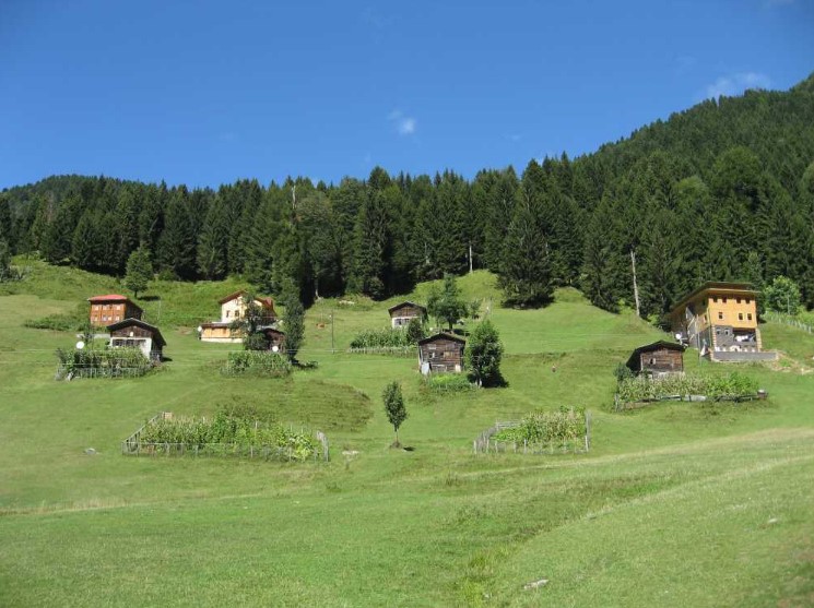 ayder yaylasi plateu