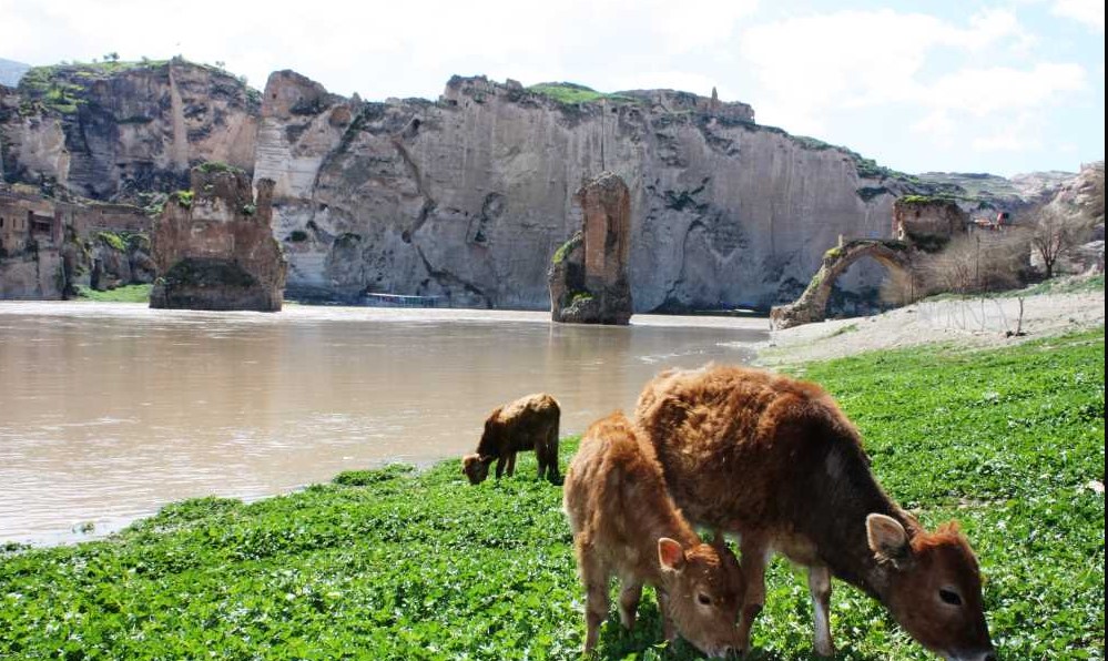 hasankeyf turkey 6