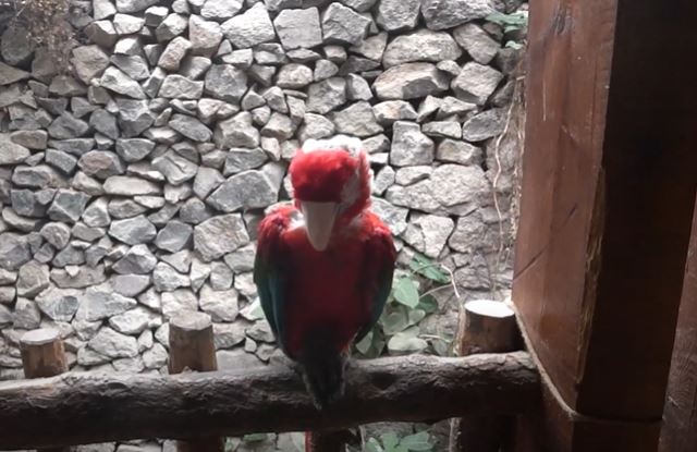 izmir wildlife park 12