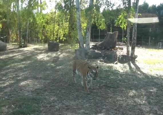 izmir wildlife park 2