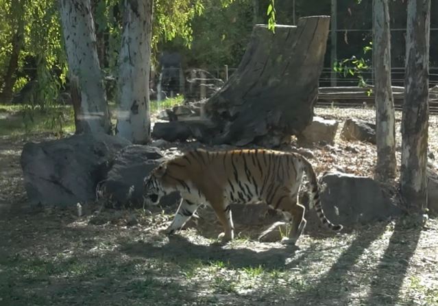 izmir wildlife park 3