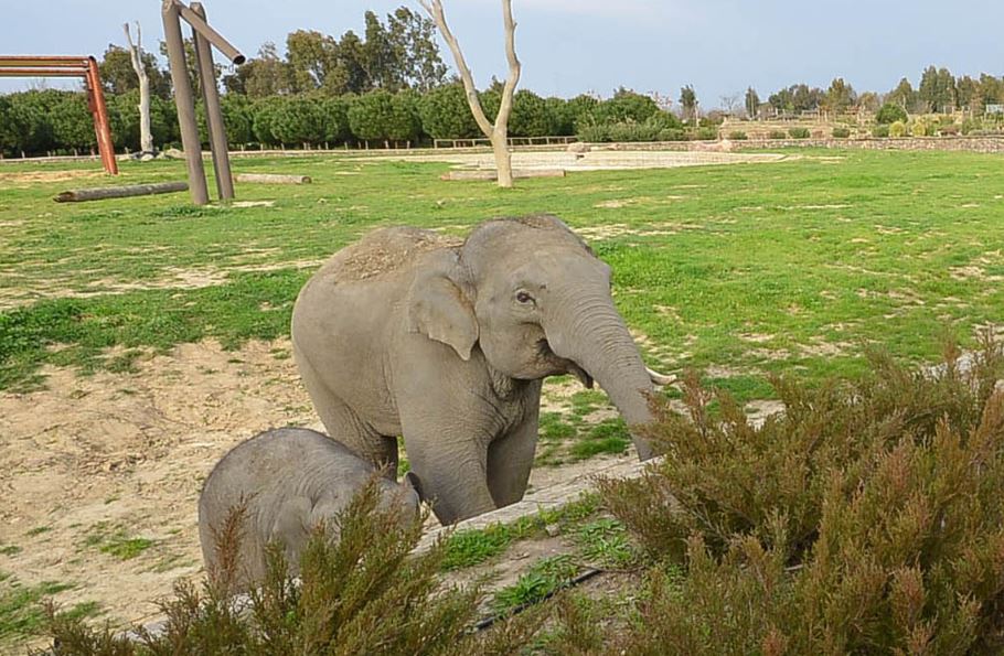 izmir wildlife park 4