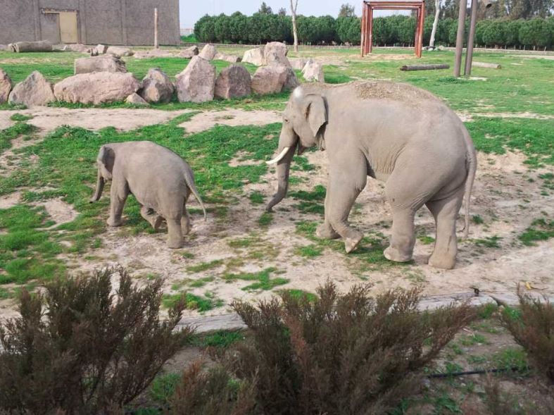 izmir wildlife park 5
