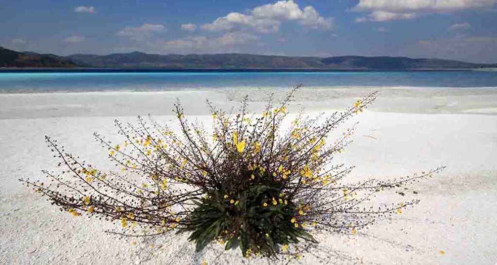lake salda 7