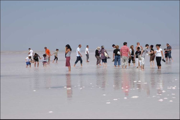 salt lake turkey 3